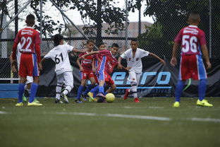 开云入口-中国足球青训成果展示会在多地举办,中国足球青训比赛